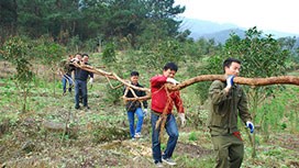 問(wèn)尋良藥，中成一直在行動(dòng)